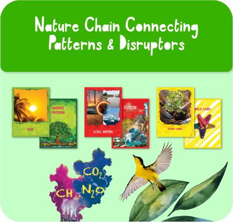 Nature Chain Connecting Patterns & Disruptors